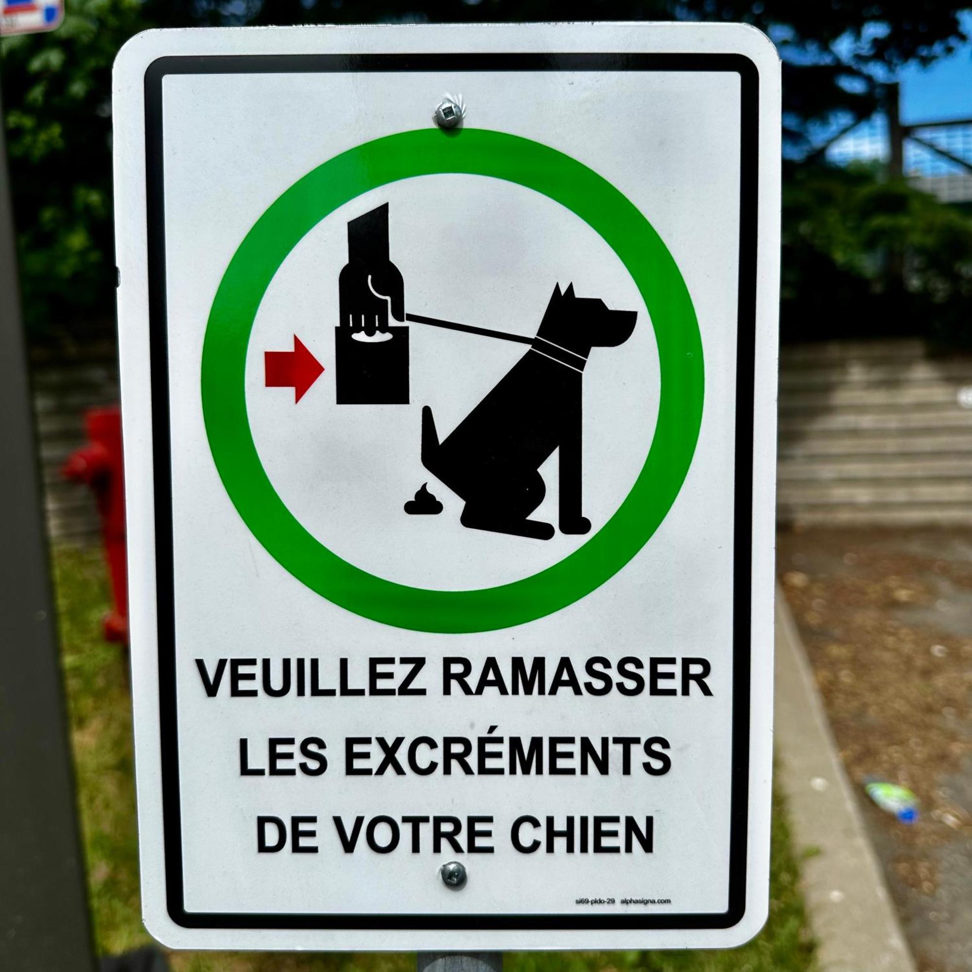 Initial - Moose - Chutes-Montmorency Boischatel Ngoại thất bức ảnh